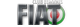Fiat Club Belarus